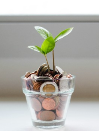 Growth and Trust - About Us PropXperts